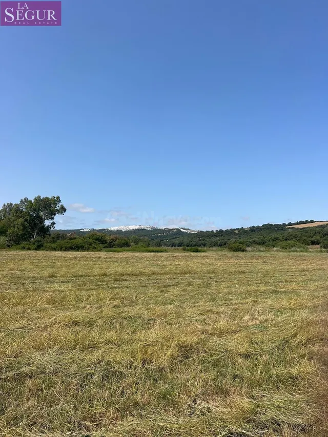 TERRENO CON CASITA PARA REFORMAR EN LA PARTE BAJA DE ABEJARU