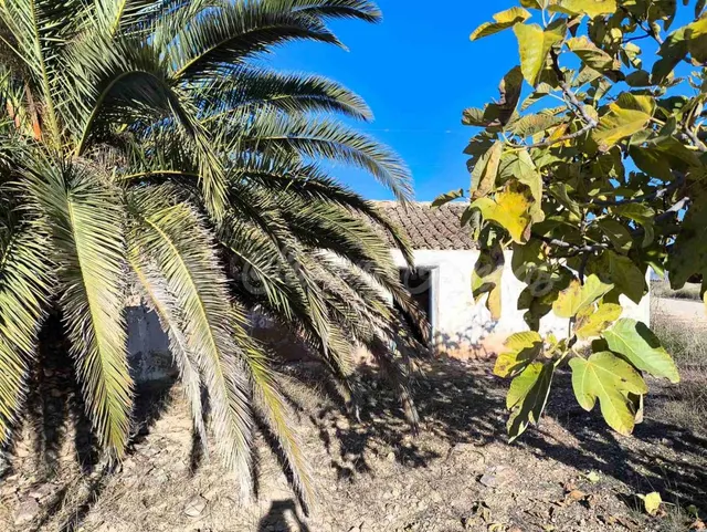 Suelo rústico en Venta en Yecla Murcia — 4