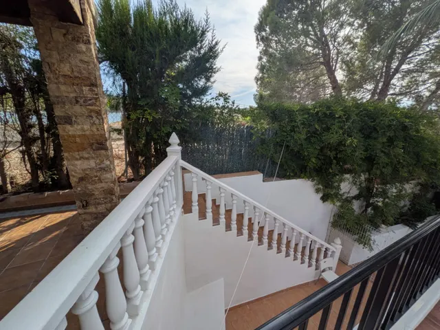 ESPECTACULAR FINCA CON CASA, PISCINA PRIVADA Y PLANTACIÓN DE LIMONEROS EN JACARILLA — 9