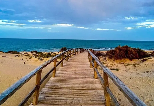 MAGNIFICOS APARTAMENTOS TURISTICOS EN GUARDAMAR DEL SEGURA — 17
