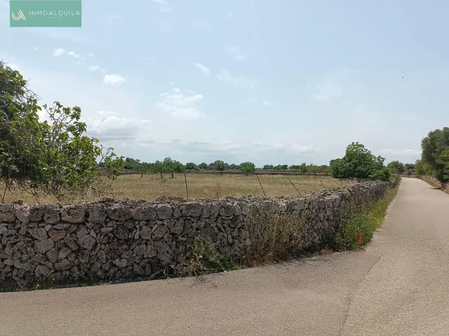 Finca edificable con proyecto — 6