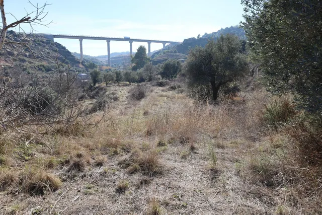 TERRENO EN VENTA EN ALCAÑIZ. Ref TR08102023 - foto 2