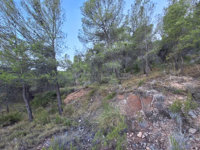 Finca rústica forestal en venta con vistas panoramicas · Castalla (Alicante) — 2