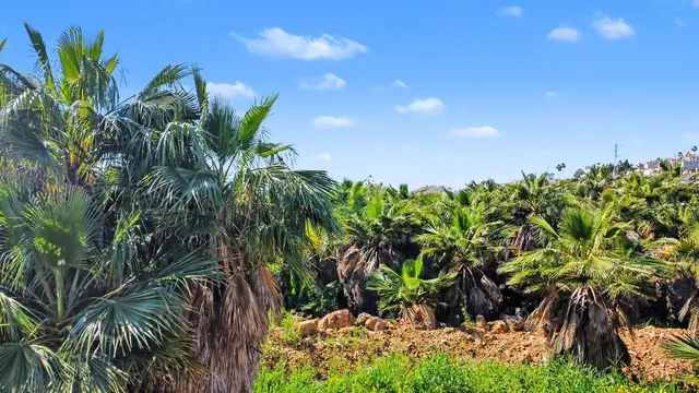Parcela 2000m² en venta - Costa Del Sol — 12