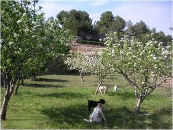 FINCA Con equipamientos - HIPICA — 21