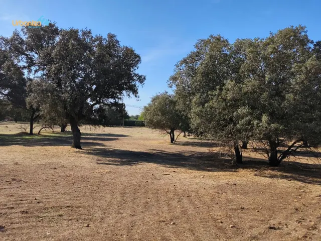 Parcela en tres arroyos totalmente vallada con pozo, portera de entrada y  2 acometidas de luz — 9
