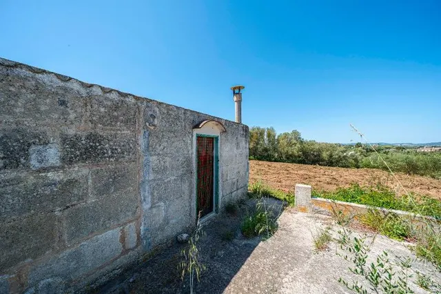 Casa agrícola con proyecto en Manacor - foto 5