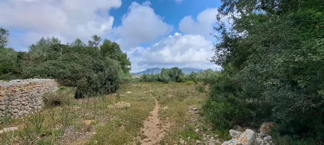 Finca rústica 8 habitaciones 1400m² en venta - Sant Llorenç  - foto 5
