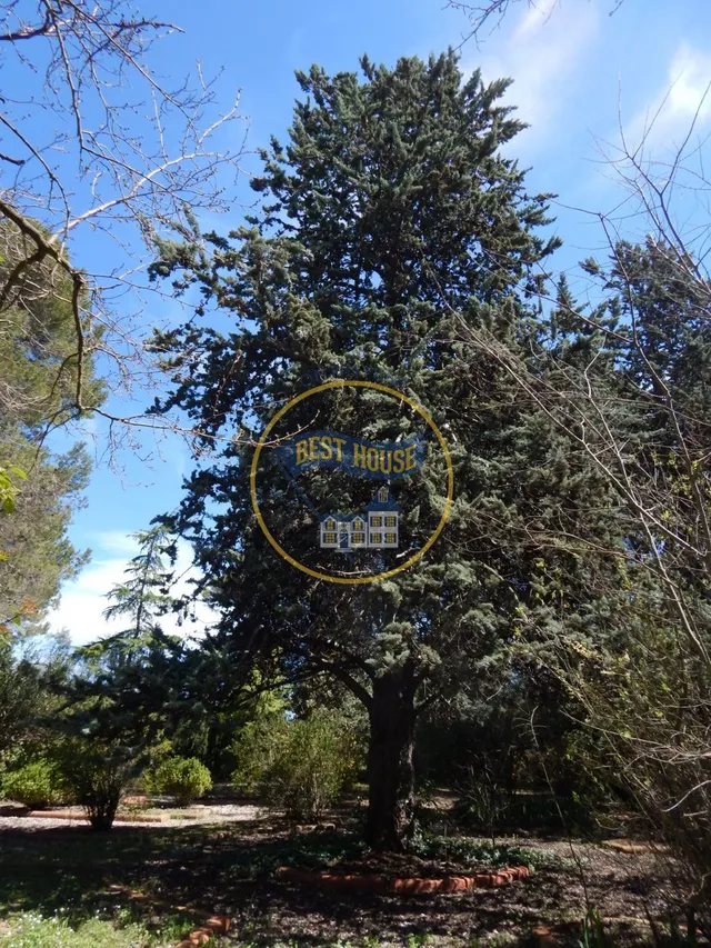 BONITA MASIA DEL SIGLO XVIII EN BOCAIRENT — 6