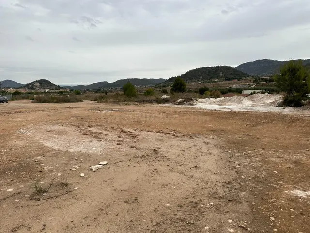 Terreno Rústico en venta - Crta. LA ROMANA - foto 4