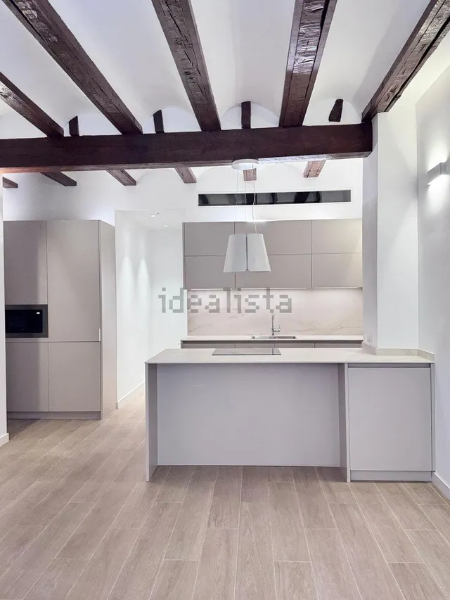 Estudio 51m² en alquiler - El Botànic - foto 2