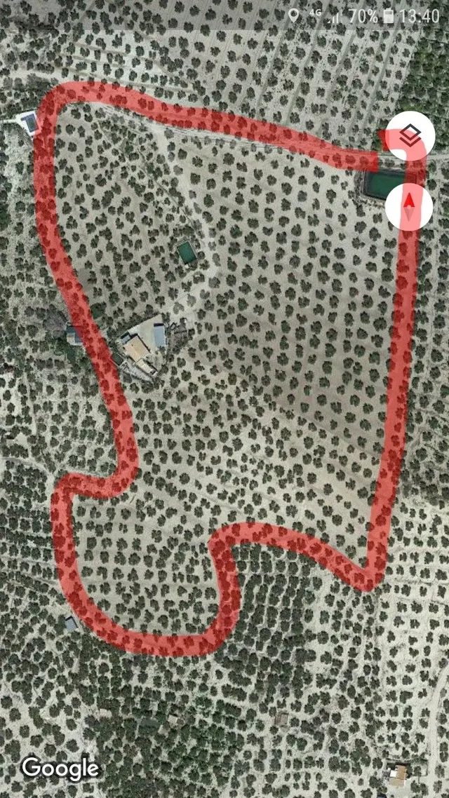 CORTIJO CON GRAN PRODUCCIÓN ACEITUNERA EN 5,5 Ha. — 19