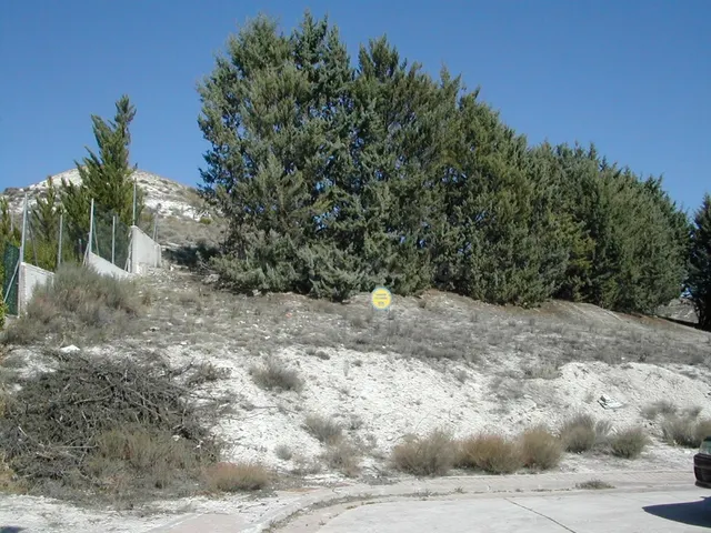 Parcelas en Cuéllar. Zona Santa Clara. Ref. 1287 — 2