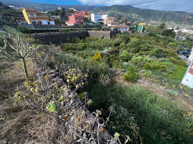 FINCA RÚSTICA CON ESTANQUE Y CUARTO DE APEROS EN ICOD DE LOS VINOS — 9