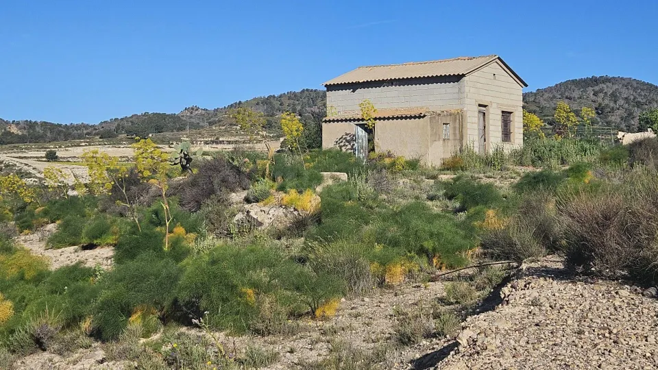 Se vende terreno rústico de 6.700 m2 en Corvera