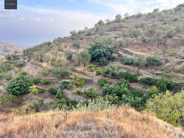 Bonito cortijo en venta en Loma del Gato – Almuñécar / Ítrabo — 23