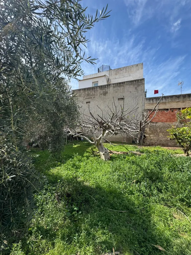 SOLAR URBANO EN VENTA EN JACARILLA - ZONA JACARILLA - — 7