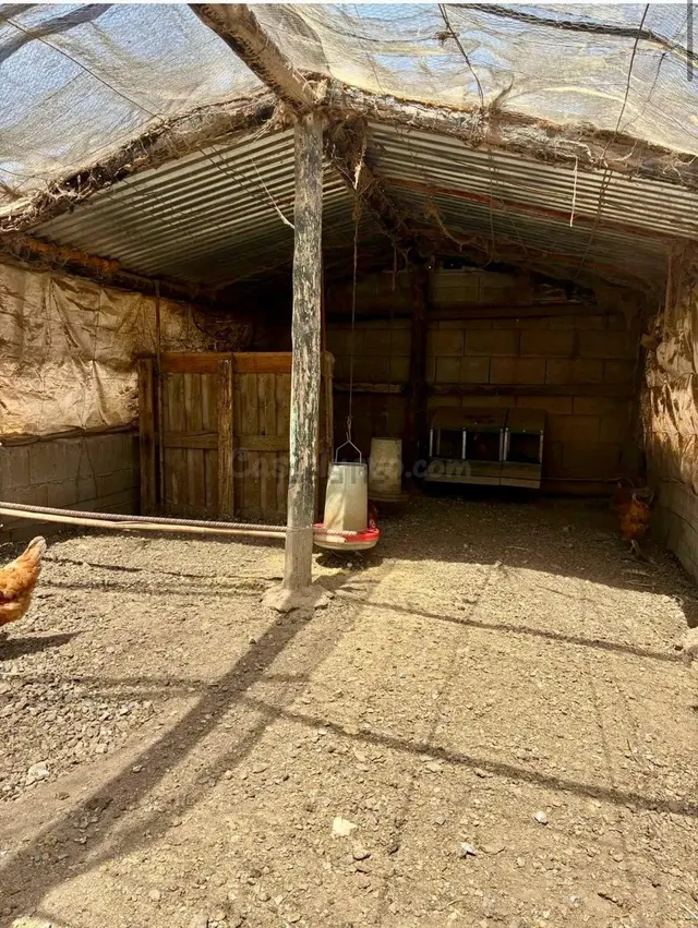 Finca agrícola y ganadera de 25.000 m2 con pozo propio, plac - foto 5