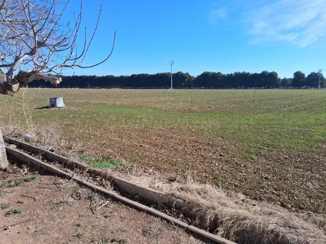 ¡¡¡ OPORTUNIDAD!!!! SE VENDEN 4 HECTAREAS DE RIEGO - foto 2