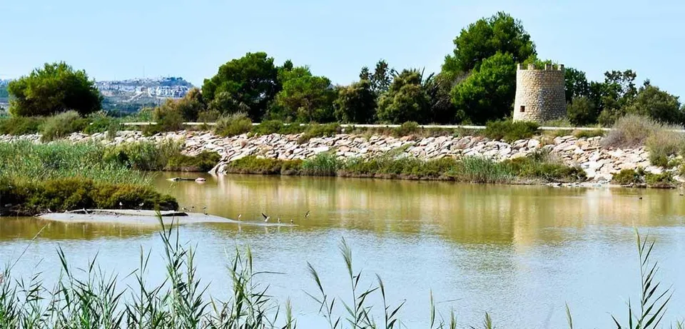 Terreno Urbano en Guardamar del Segura - Oportunidad de Inversión