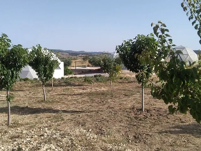 Magnifica casa geodésica — 8