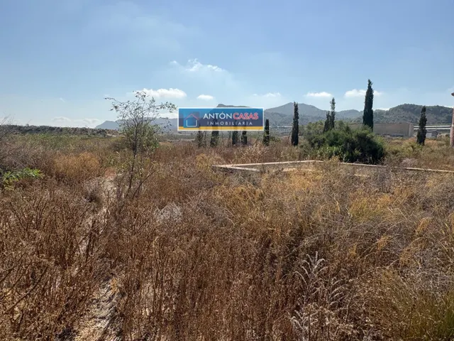 FINCA RÚSTICA PARA REFORMAR EN ORITO — 10