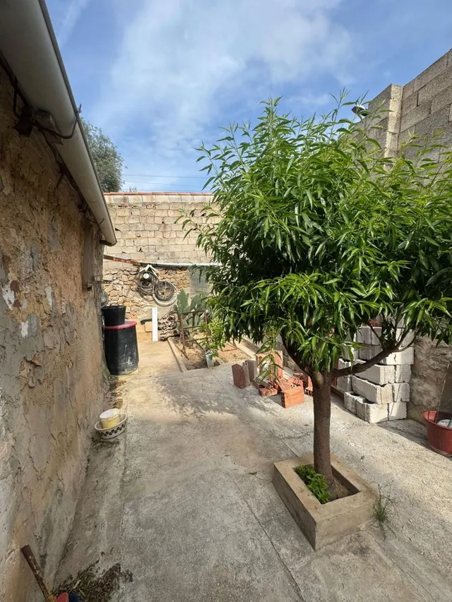 Casa 8 habitaciones 350m² en venta - Orihuela Ciudad — 49