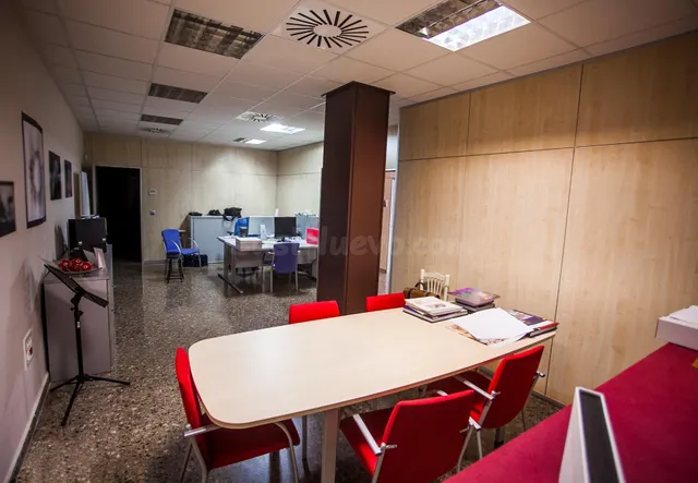 LOCAL COMERCIAL DE 305 m2 EN EXCELENTE UBICACIÓN - foto 4