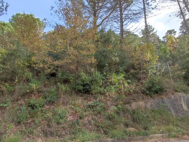 TERRENO EN VENTA EN LA URBANIZACION MASIA DEL SOLÀ (FINCA RUSTICA) MONISTROL DE CALDERS — 6