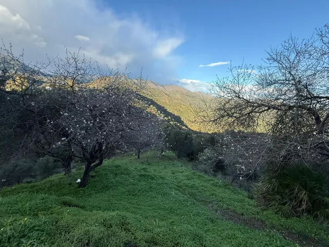Finca rústica en zona alta de Marbella con vistas y servicios — 17