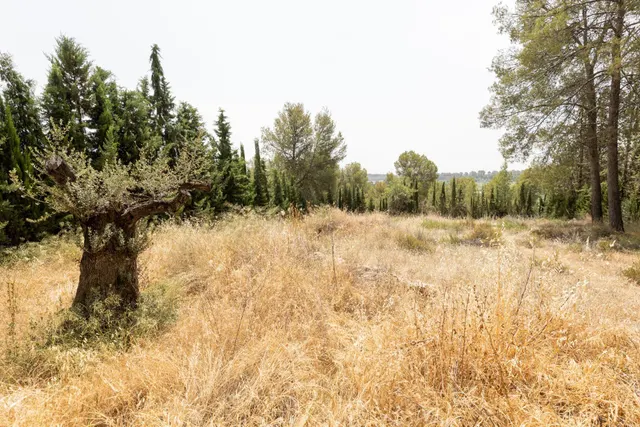 EXCLUSIVO TERRENO EN VENTA EN ALBOLOTE — 2