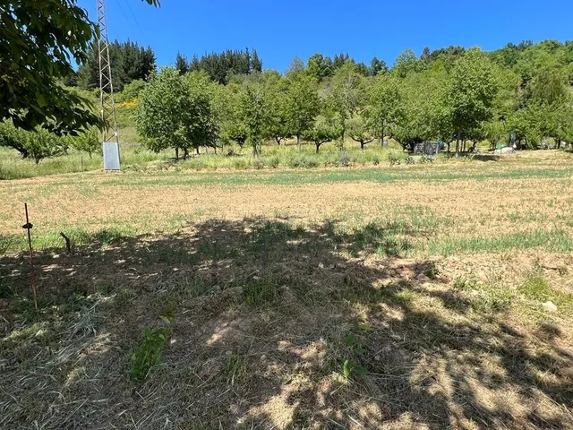 OPORTUNIDAD DE ADQUIRIR UN TERRENO EN UNA DE LAS ZONAS RURAL - foto 3