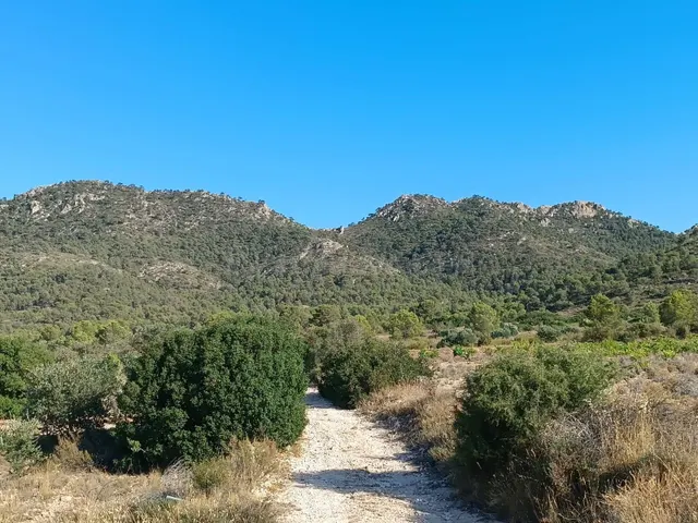 Parcela en venta - Ayuntamiento - foto 3