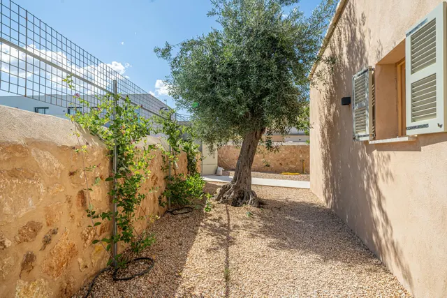 Equilibrio perfecto entre alma mallorquina y lujo moderno en Es Pla de na Tesa — 34