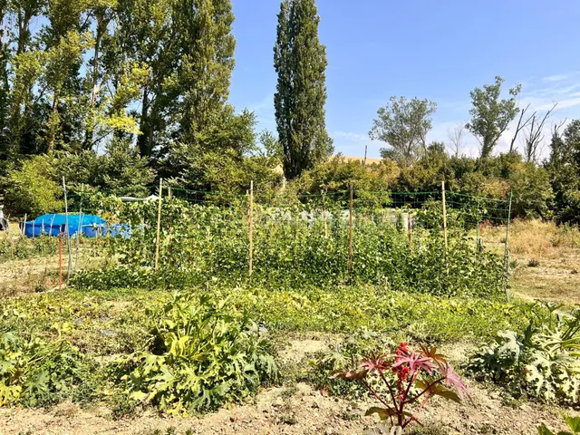 Terreno Rústico en venta - Urroz Villa - foto 3
