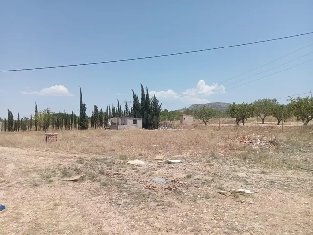 Campo en monovar — 4