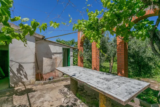 "¡Vive la vida en el campo! Terreno con casa de aperos y cultivos de olivos y frutales en ve — 12