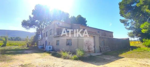 FINCA RÚSTICA EN ONTINYENT - foto 4