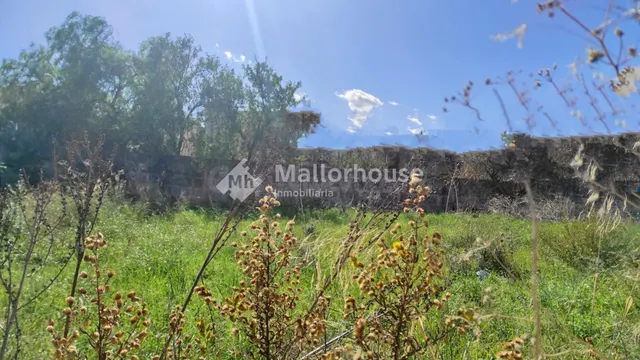 Solar Plurifamiliar en venta - Muro - foto 2