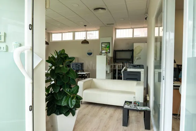 Excelente Local Comercial en la Mejor Zona de Tomares - foto 3