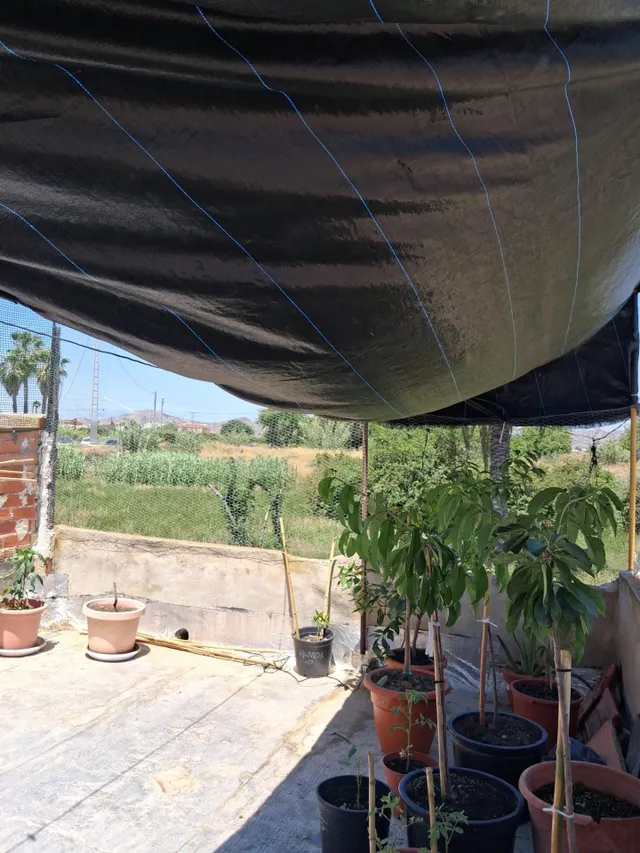 Casa en Alquerías - foto 3