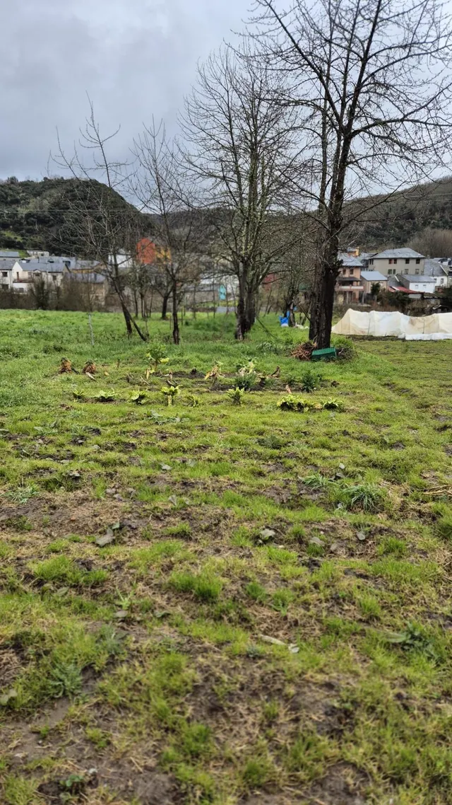 CASA - TORENO — 35