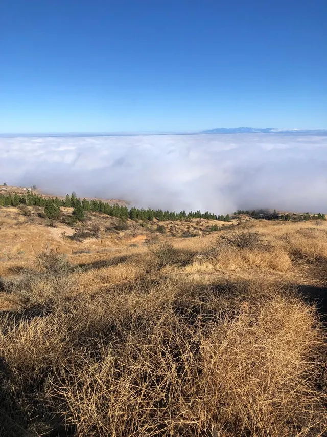 Terreno rústico con encanto y vistas espectaculares — Fasnia, Tenerife — 26