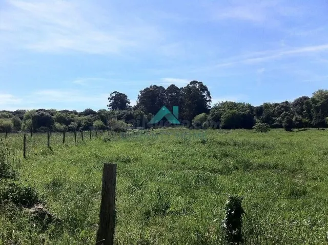 Se vende terreno no urbanizable en Arnuero - foto 3