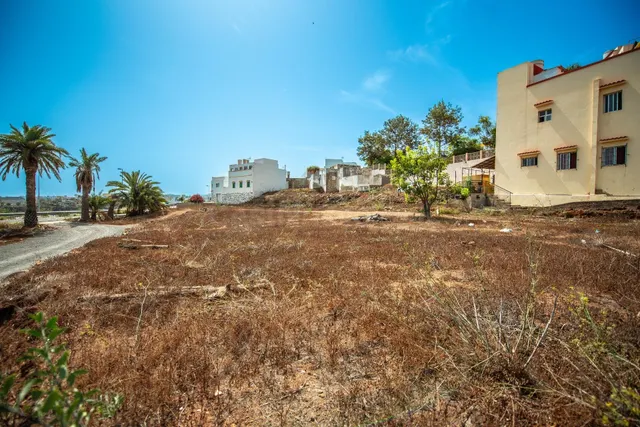 Oportunidad de inversión en Arucas – Conjunto de 4 parcelas  - foto 3