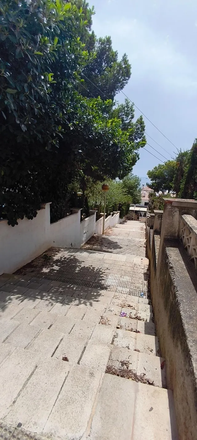 ¡Espacio para todos! Gran planta baja con porche y parking — 38