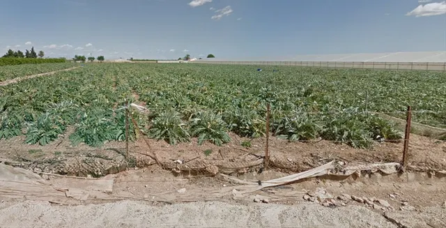 Venta terreno rústico en San Javier