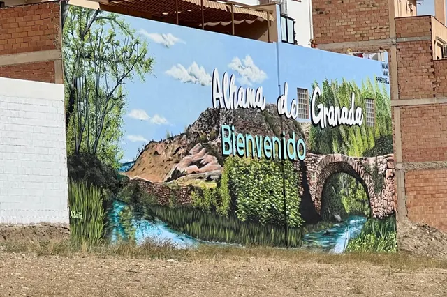 Probablemente la mejor parcela de Alhama para construir el chalet de tus sueños. Ahora a la venta. — 9
