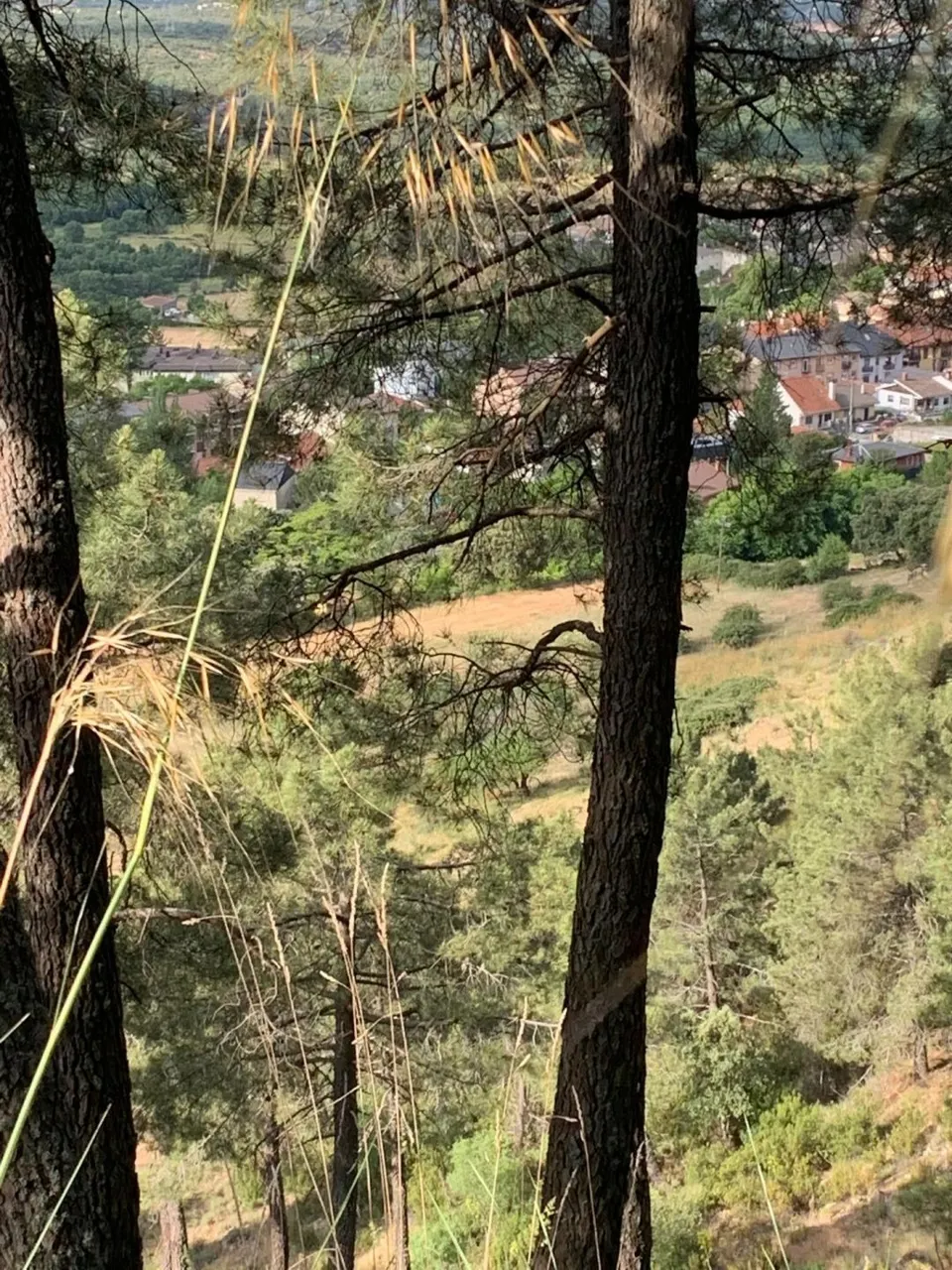 Terreno Urbanizable para 56 viviendas