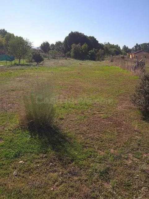 Parcela de terreno de 1.500 m2 EN CUEVAS BAJAS/ ZONA BAJA - foto 3